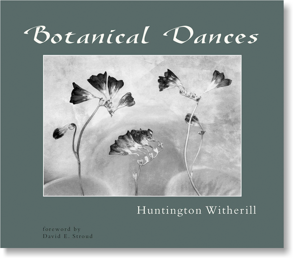 Botanical Dances Book (1000x900), Png Download