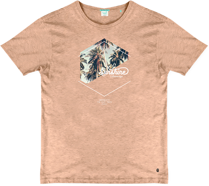 Insect (787x787), Png Download