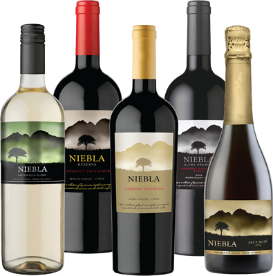 Florida (395x400), Png Download