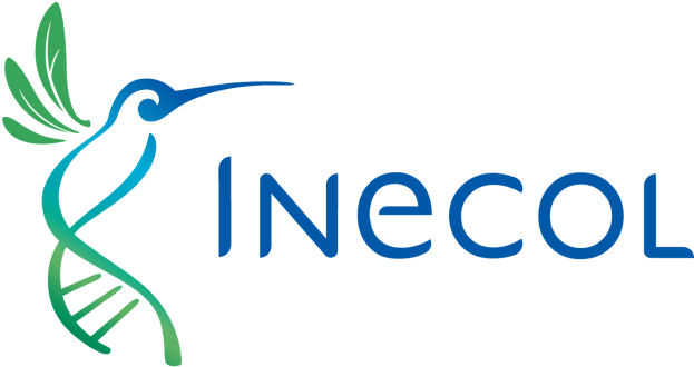 El Santuario Del Bosque De Niebla Forma Parte Del Área - Inecol (640x358), Png Download