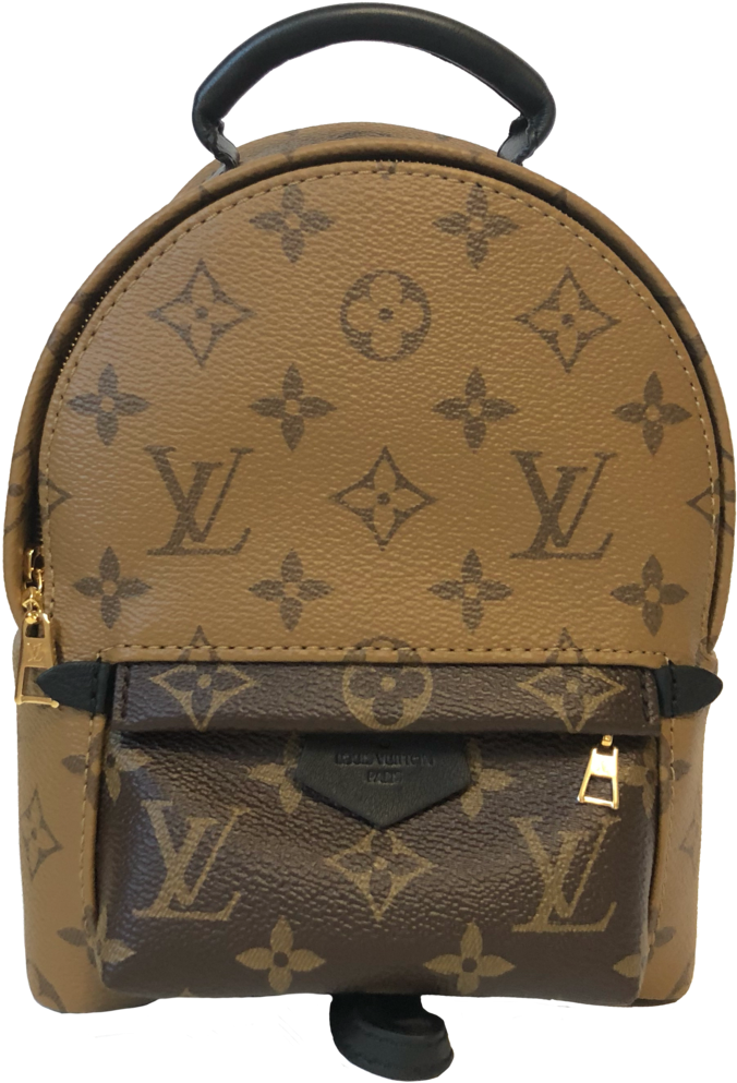 Small Dustbag Designed For Louis Vuitton Handbags - Louis Vuitton Lv Palm Spring Backpack Reverse Monogram (716x1024), Png Download