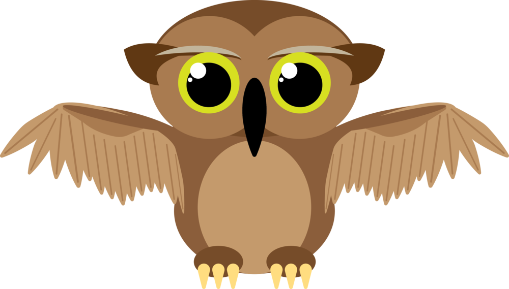 Owl (1000x569), Png Download