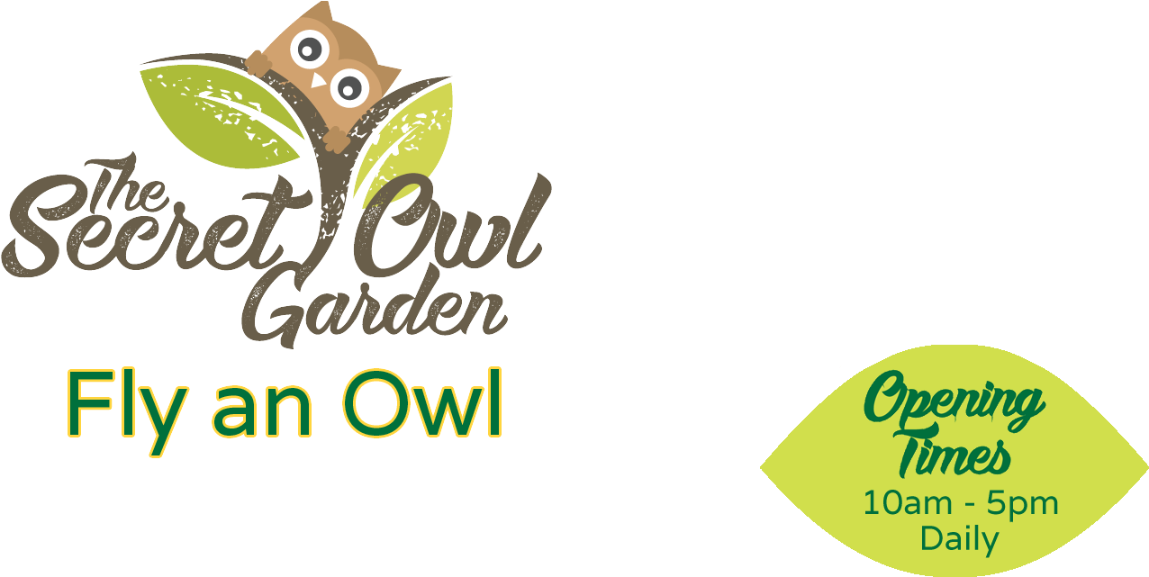 Fly An Owl - Wales (2000x855), Png Download