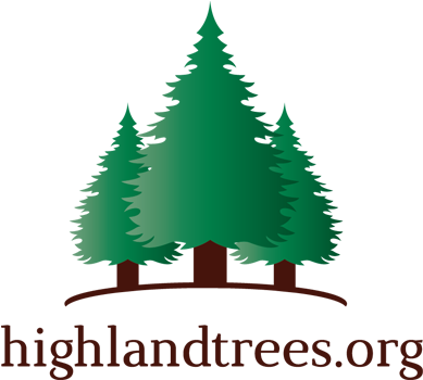 Logo - Christmas Tree (445x350), Png Download