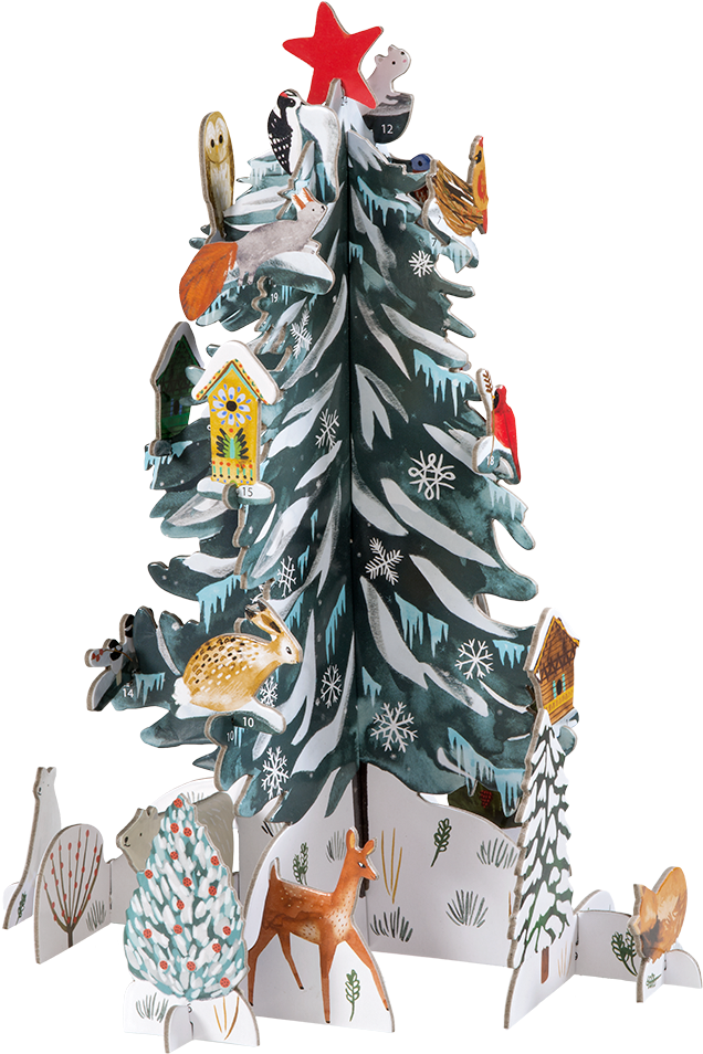 Advent Calendar "christmas Conifer" (1000x1000), Png Download