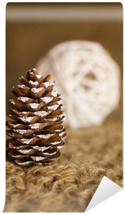 Conifer Cone (400x400), Png Download