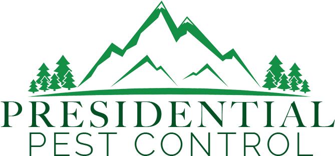 Follow - Mountain (678x338), Png Download