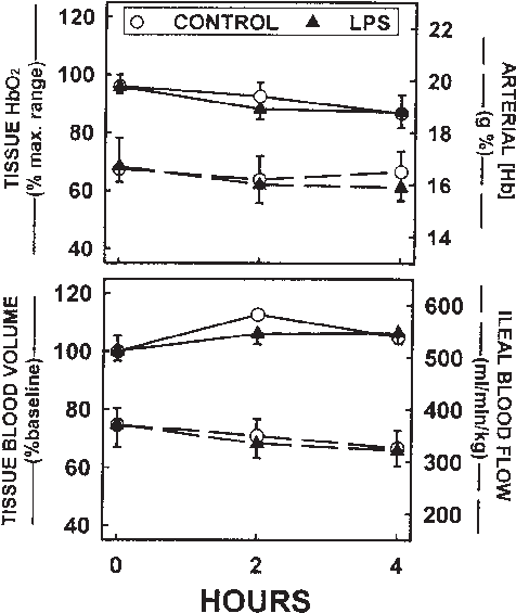 Relative Hbo 2 Content In Ileal Tissues, As A Percent - Diagram (498x579), Png Download