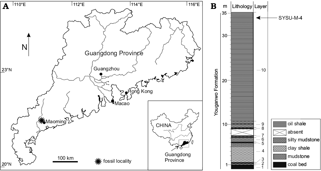 Geographical Map Of The Maoming Basin, Guangdong Province, - Map (1081x576), Png Download
