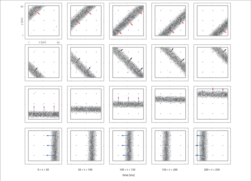 Delay Vector Fields Overlapped To Retina Spiking Activity - Retina (850x616), Png Download