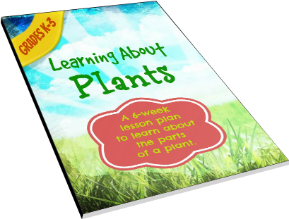 Learningaboutplants - Flyer (503x557), Png Download
