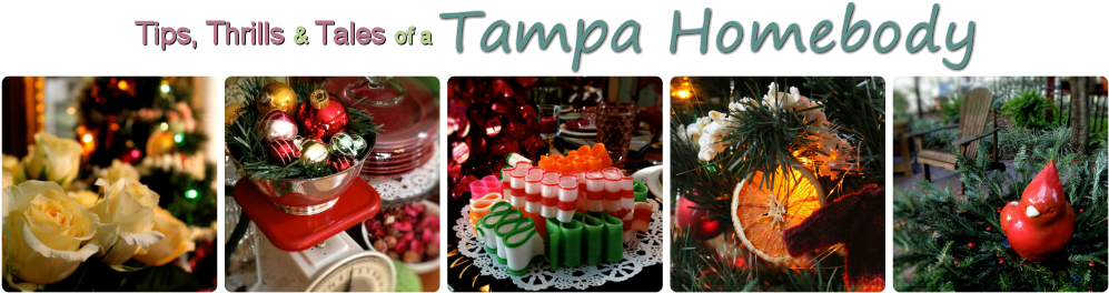 Tampa Homebody - Tampa (1008x275), Png Download