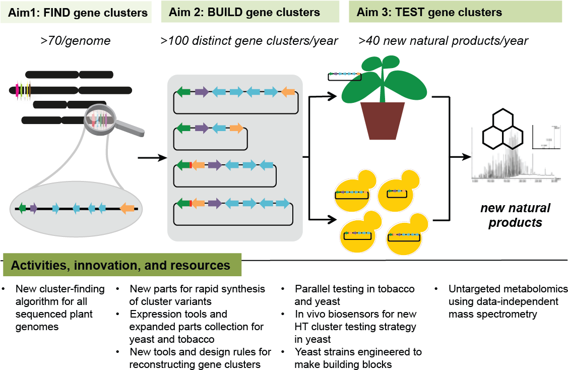 Our Algorithm Will Predict Gene Clusters For Specialized - Diagram (1146x750), Png Download