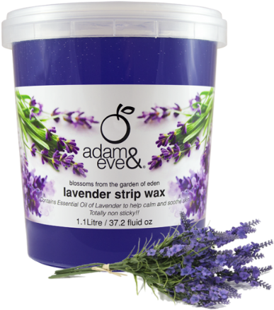 Adam And Eve Wax (500x500), Png Download