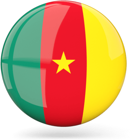 Cameroon Icon Flag Png - Cameroon Flag Logo Png (640x480), Png Download