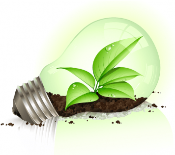 Foco Ecologico (600x315), Png Download