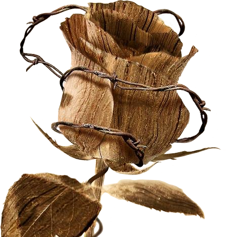 Goth-023 - Diamond In The Rough: Trials And Tribulations (448x470), Png Download