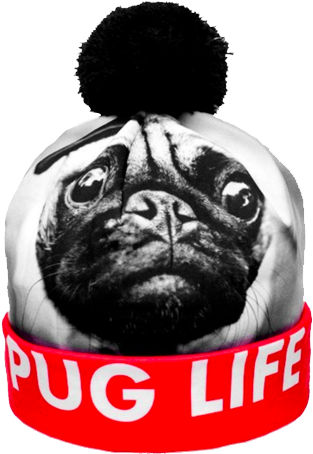 Pug Life Beanie Getonfleek - Hats That Say Pug Life (345x480), Png Download