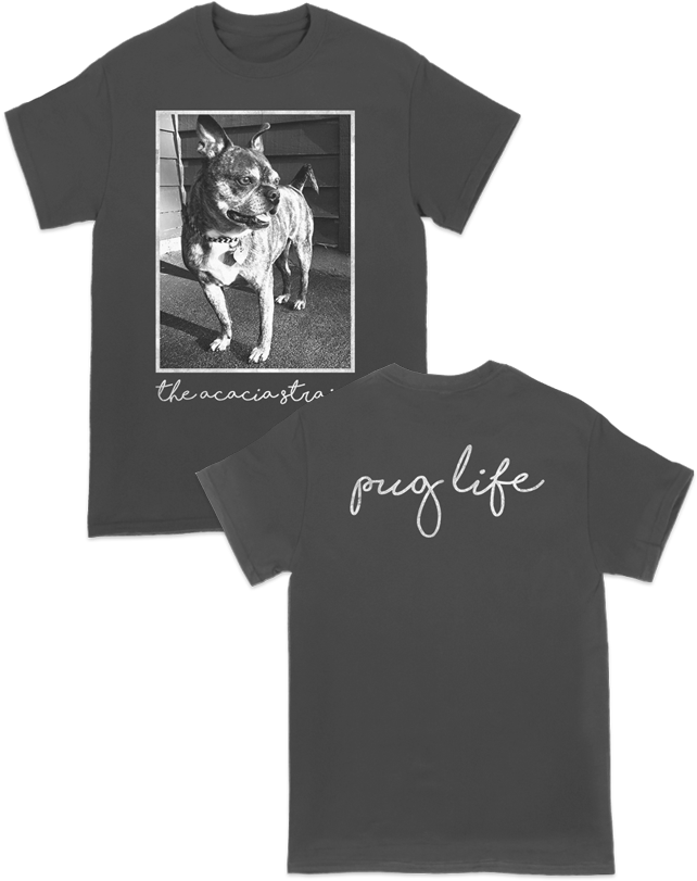 Eyehategod Shirt (700x844), Png Download