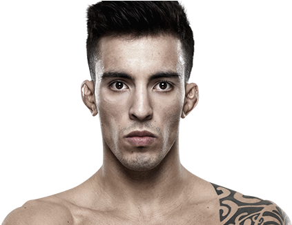 Ultimate Fighting Championship (500x325), Png Download