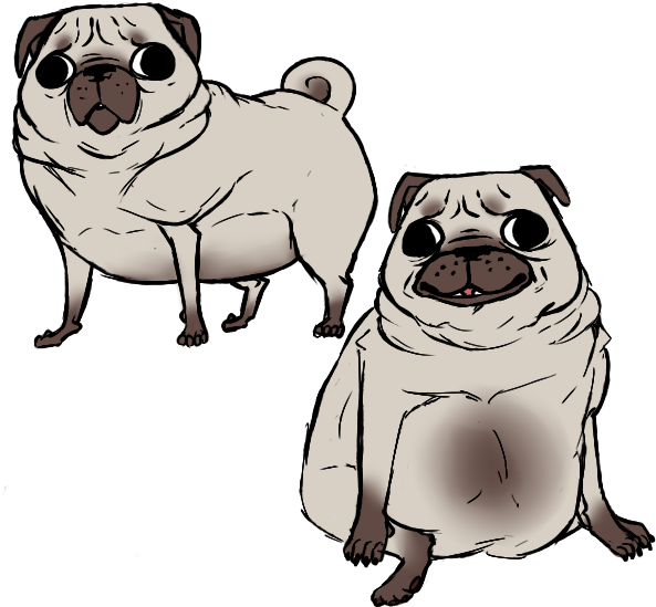 28 Collection Of Fat Pug Drawing - Pug (626x575), Png Download
