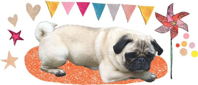 Happiness And Longevity - Dog (805x402), Png Download