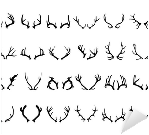 Download Collection Of Different Silhouettes Of Deer Antlers Bois De Cerf Symbole Full Size Png Image Pngkit