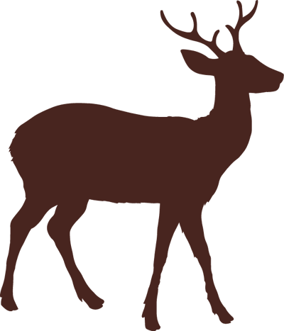 Deer (400x467), Png Download