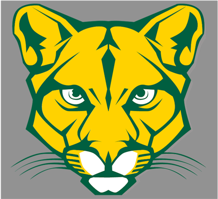 Blackhawk Fastpitch Softball - Cougar Png (942x406), Png Download