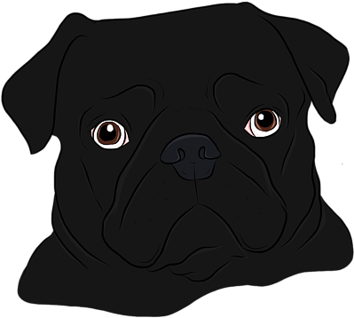 Bleed Area May Not Be Visible - Black Pug Drawing (452x700), Png Download