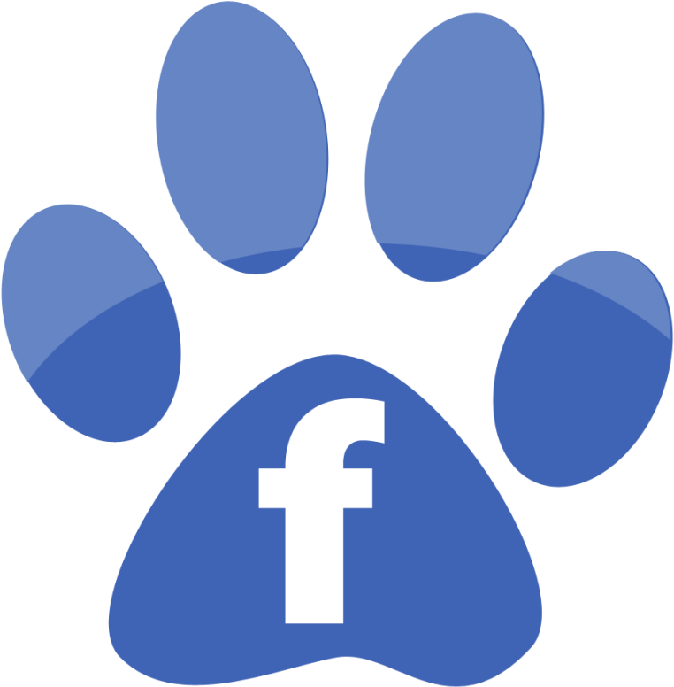click Here To Download Current Registration Form And - Like Us On Facebook Dog (800x800), Png Download