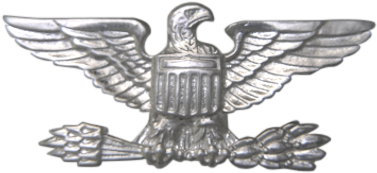 Colonel Insignia * Png (399x400), Png Download
