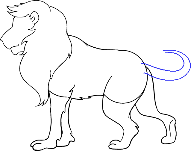 How To Draw A Lion Step By Step - Drawing Picture Of Lion (678x600), Png Download