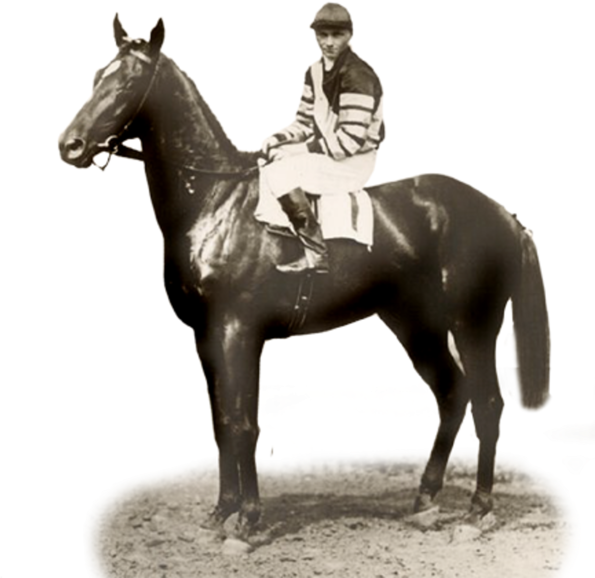6 Things You May Not Have Known About Man O' War - Man O' War (1192x1200), Png Download
