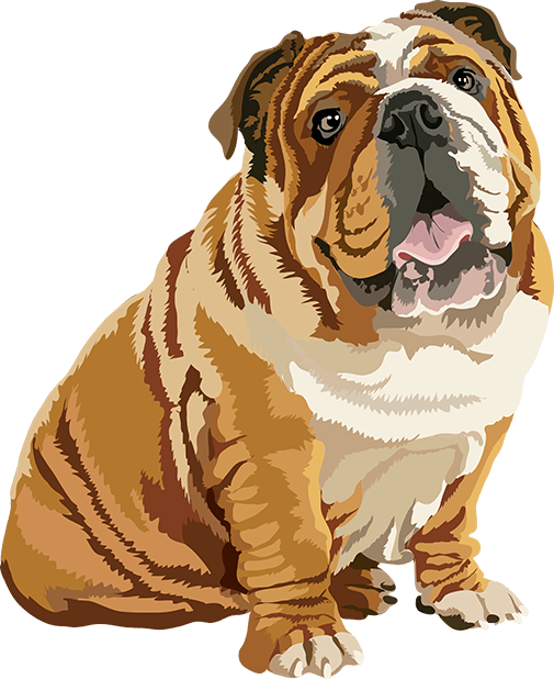 Realistic Dog Art - Dog (505x618), Png Download