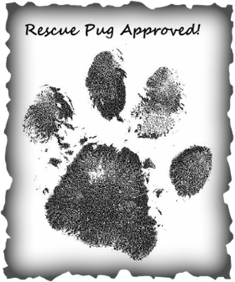 Is A Rescue Pug For Me - Radha Krishna Pencil Shades (341x410), Png Download