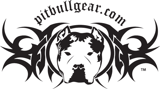 Pit Bull - Pitbull Gear (560x311), Png Download