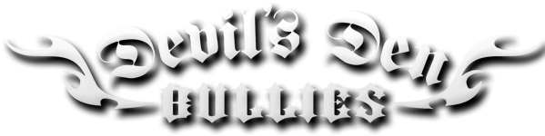 American Bully Pit Bull Game " - Devils Den Bullies (600x294), Png Download