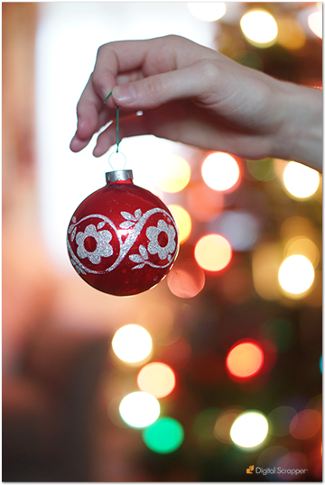 2013 1217 Blog Img2 - Christmas Ornament (540x540), Png Download