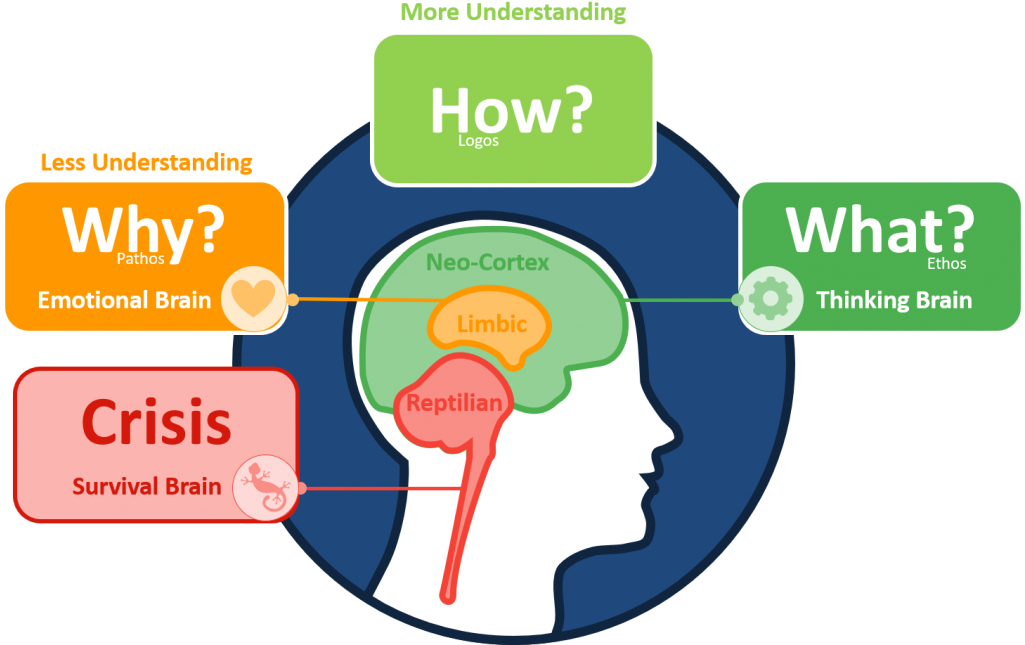 Fitnessplatter - Triune Brain Reptilian Brain (500x321), Png Download
