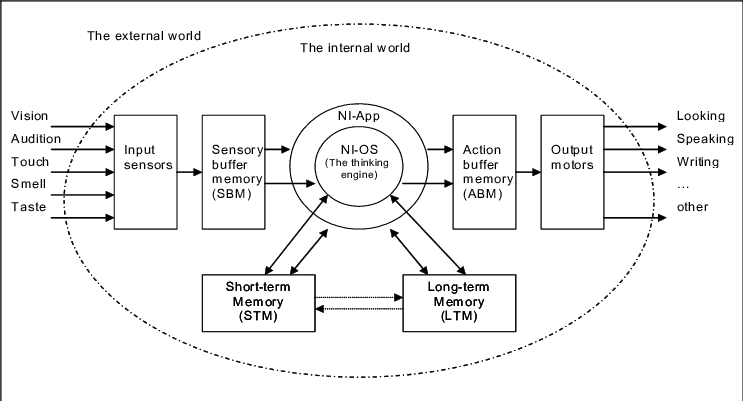 The Functional Model Of The Brain - Brain (743x401), Png Download