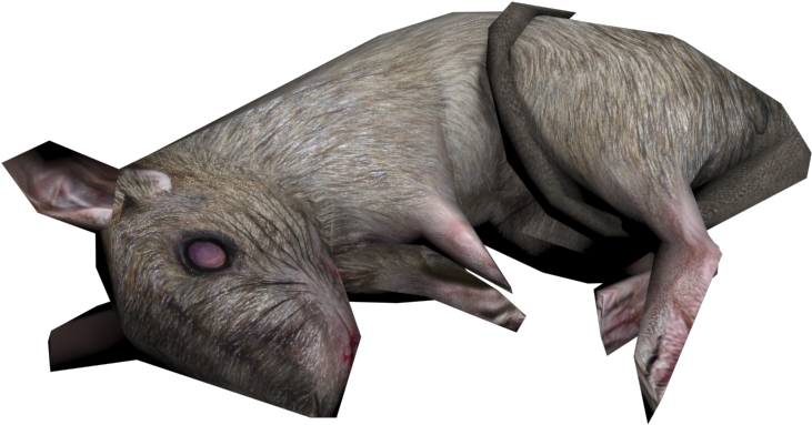Download Zip Archive - Boar (750x650), Png Download
