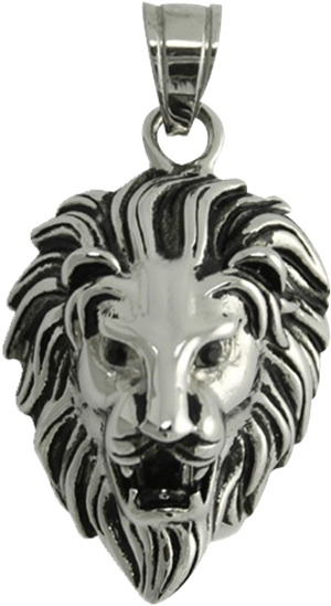 Stainless-steel Lions Head Pendant - Lion (555x555), Png Download