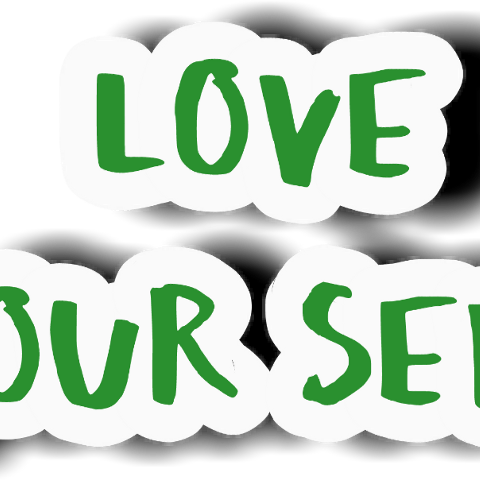 Picsart Photo Studio (480x480), Png Download