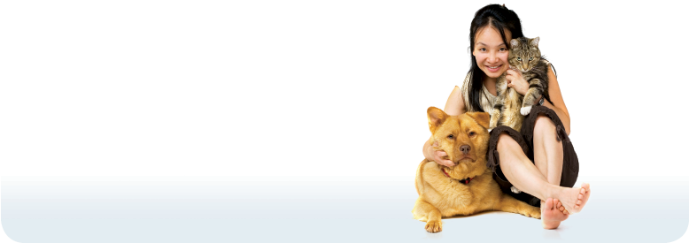 Animal Shelter Heroes: How To Be A Hero With The Shelter (777x340), Png Download