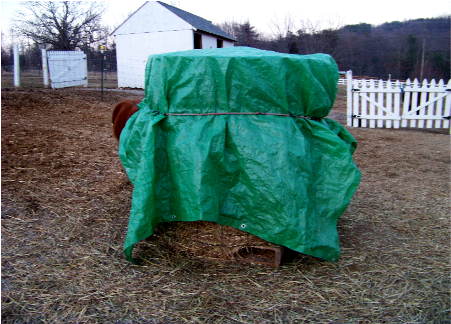 Roundbale3 - Horse (500x386), Png Download