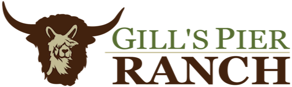 Gill'spierranch (1000x309), Png Download