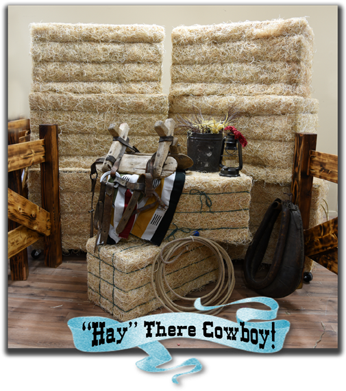 “hay There Cowboy” Faux Bales Of Hay For Rent In Tucson - Chest (526x582), Png Download