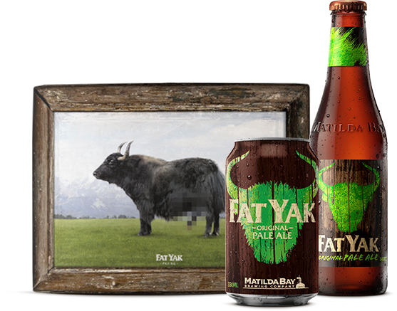 September 2016 Sees A Fresh And Fruity Tropical Beast, - Yak Ales Fat Yak Original Pale Ale Cans 10 Pack 330ml (557x437), Png Download