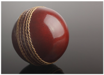 Cricket (400x400), Png Download